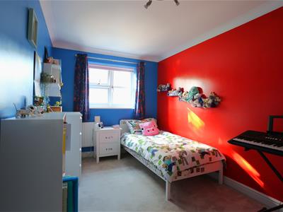 Picture 21